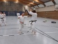 Tan-Bo Kumite 3