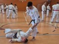 Bild14