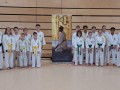 Dojo-Schweich