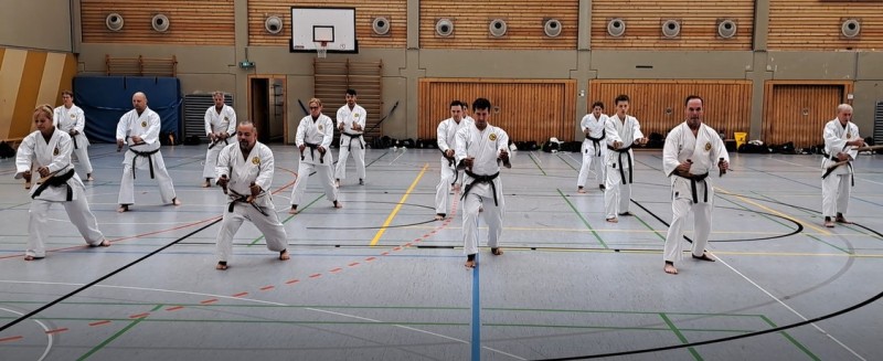 Tonfa_2